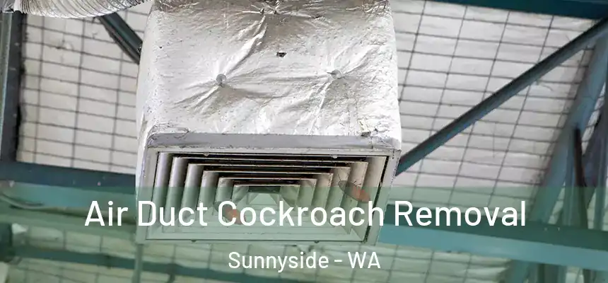  Air Duct Cockroach Removal Sunnyside - WA