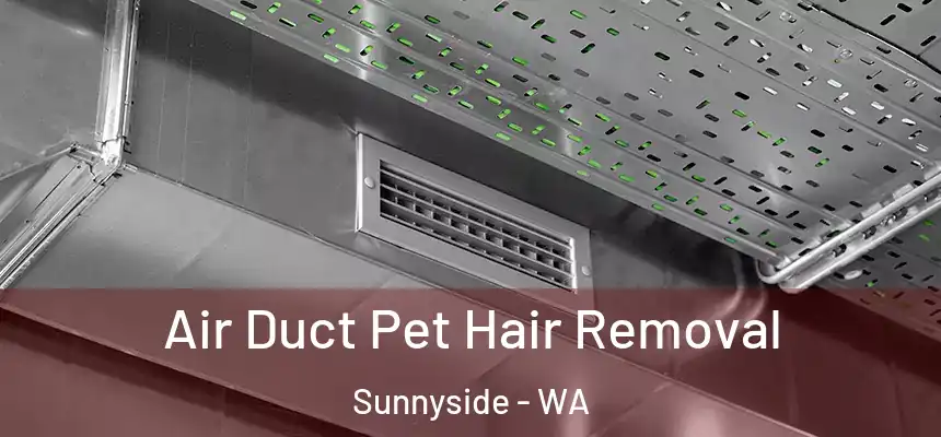  Air Duct Pet Hair Removal Sunnyside - WA