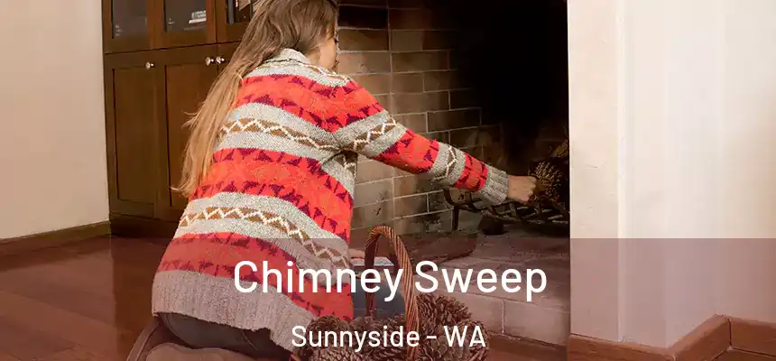  Chimney Sweep Sunnyside - WA