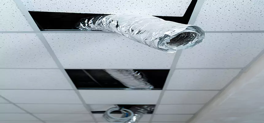 Our Air Duct Pet Hair Removal Services in Sunnyside, WA