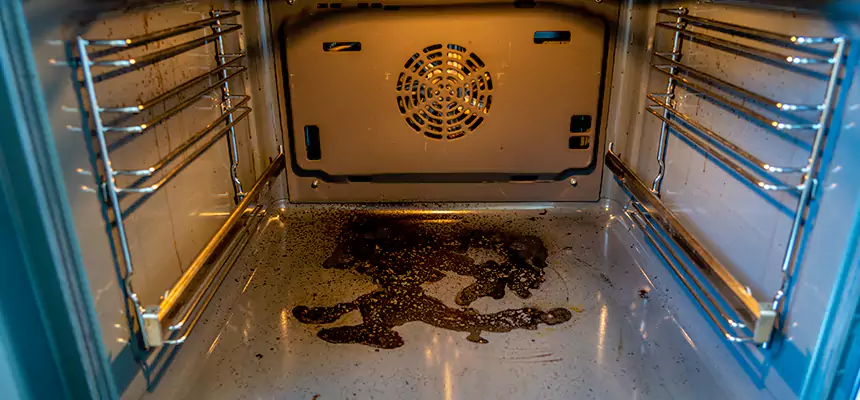 Our Dryer Vent Mold Cleaning Services in Sunnyside, WA