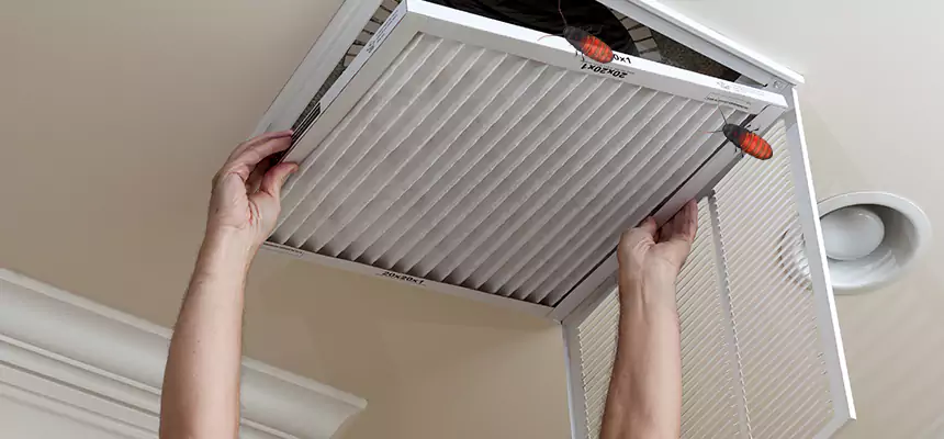 Our Insect Removal from Air Ducts Services in Sunnyside, WA