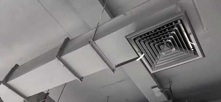 Our Pest Removal From Ducts Services in Sunnyside, WA