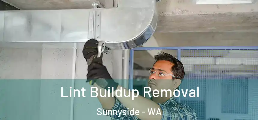  Lint Buildup Removal Sunnyside - WA