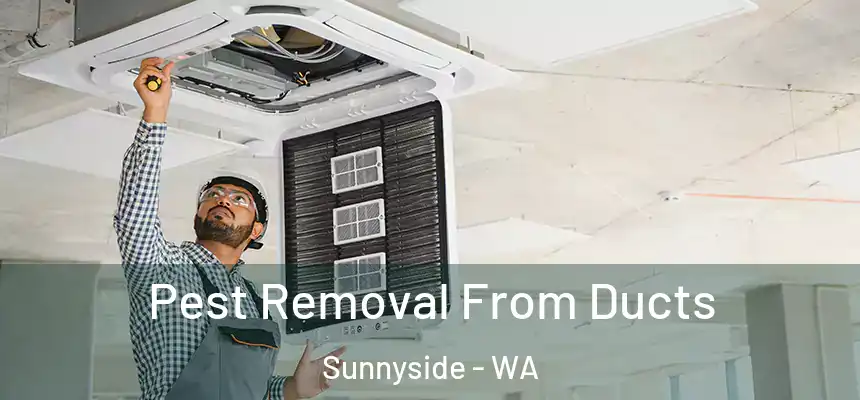  Pest Removal From Ducts Sunnyside - WA