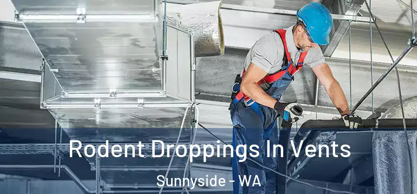  Rodent Droppings In Vents Sunnyside - WA