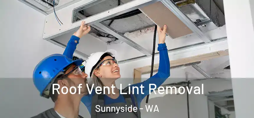 Roof Vent Lint Removal Sunnyside - WA