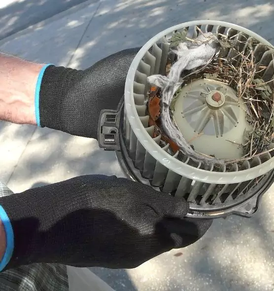 About Air Duct Rat Removal in Sunnyside, WA