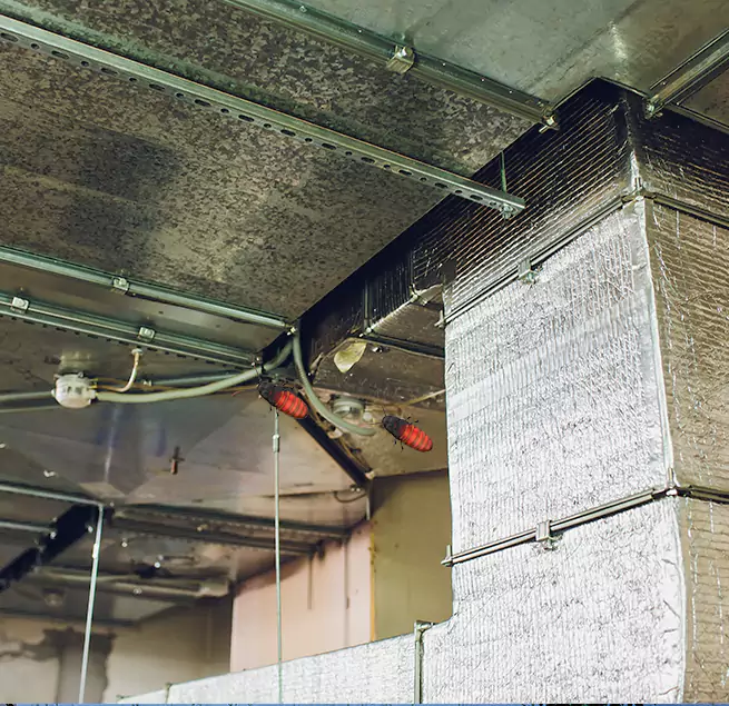 Why Homeowners & Businesses Trust Us in Sunnyside, WA?