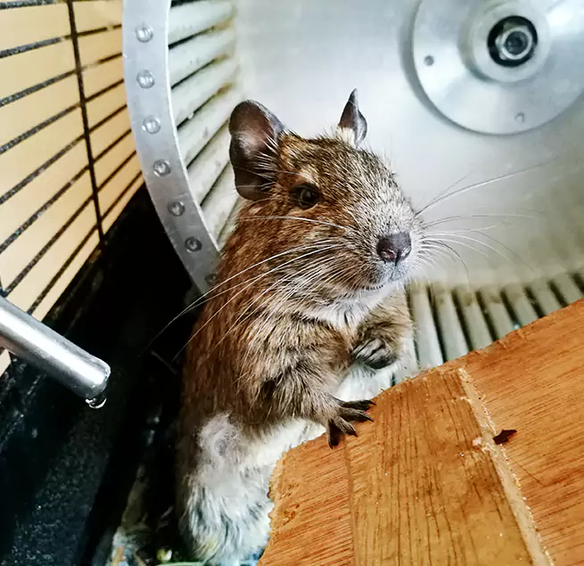 Why Homeowners & Businesses Trust Us Sunnyside, WA?