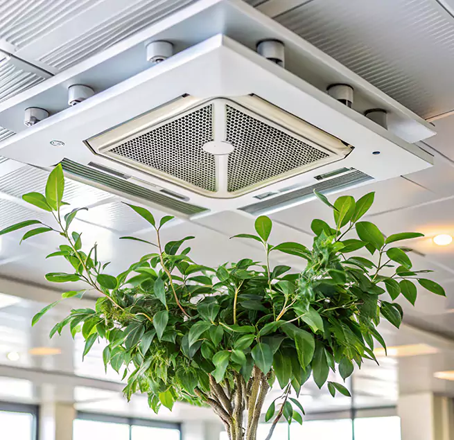 Why Homeowners & Businesses Trust Us in Sunnyside, WA