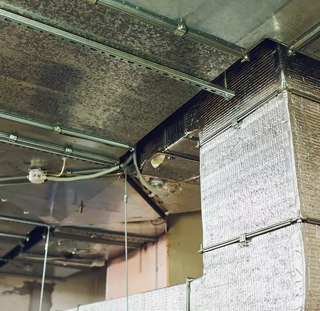 Why Homeowners & Businesses Trust Us in Sunnyside, WA?